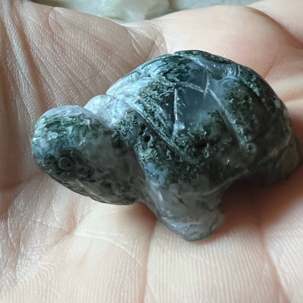 Turtle Carving